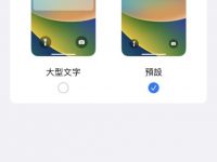 怎么样更改 iPhone 界面大小?