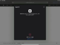 iPad 电池健康度查询方法
