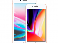 消息再现：苹果今年不只 iPhone 11、还有 iPhone 8 继任机！