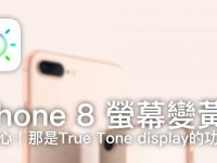 iPhone 屏幕变黄? 别担心! 那是True Tone display的功能!