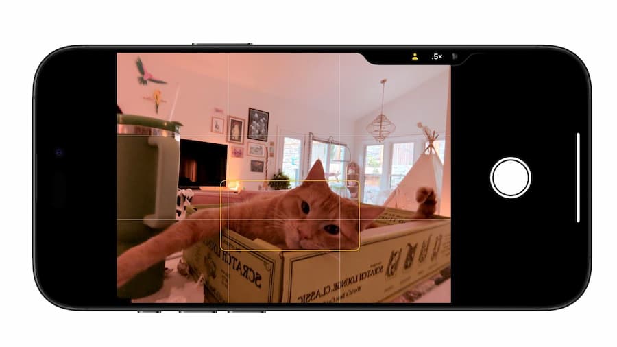 iOS 18.1正式版更新总整理! 37大新功能与改进重点快速掌握 第11张 iOS 18.1正式版更新总整理! 37大新功能与改进重点快速掌握 第11张