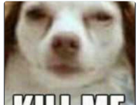 iPhone 15 系列USB-C 也将确定?据传USB-C 版EarPods 正在量产