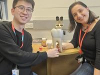 未来不怕蛀牙缺牙? 英国学者成功研发革命性牙齿再生技术