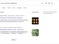 Google 搜索变聪明了! 输入一句话,AI 就帮你整理好全部答案